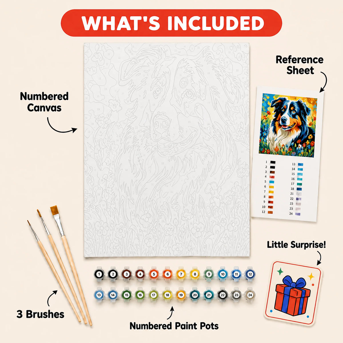 Aussie Blooms Paint by Numbers Kit: everything included in the kit