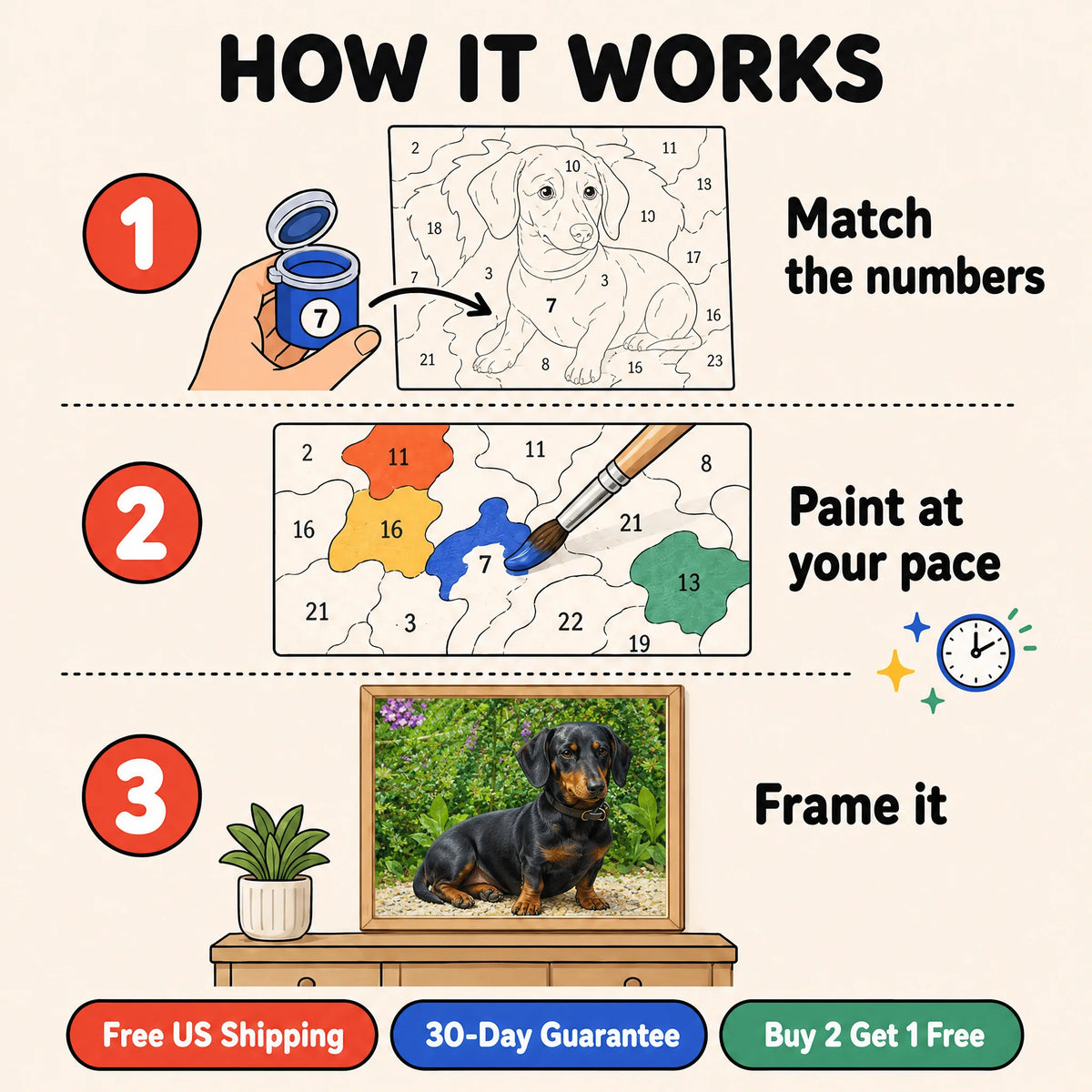 Garden Dachshund Paint by Numbers Kit: how paint by numbers works step by step