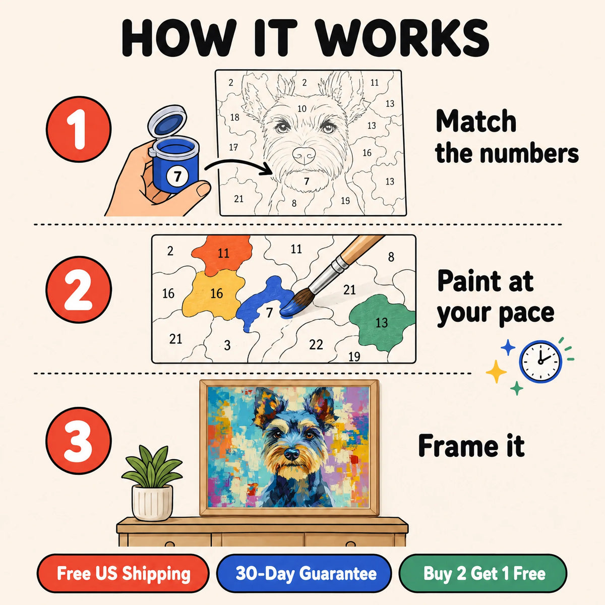 Painted Schnauzer Paint by Numbers Kit: how paint by numbers works step by step
