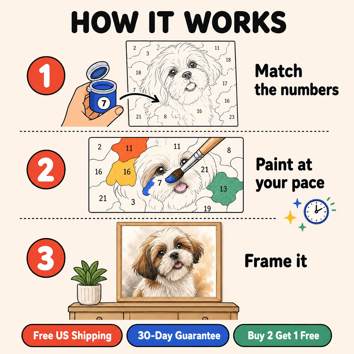 Shih Tzu Portrait Paint by Numbers Kit: how paint by numbers works step by step
