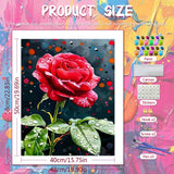 Midnight Rose Paint by Numbers Kit