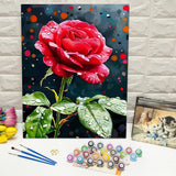 Midnight Rose Paint by Numbers Kit
