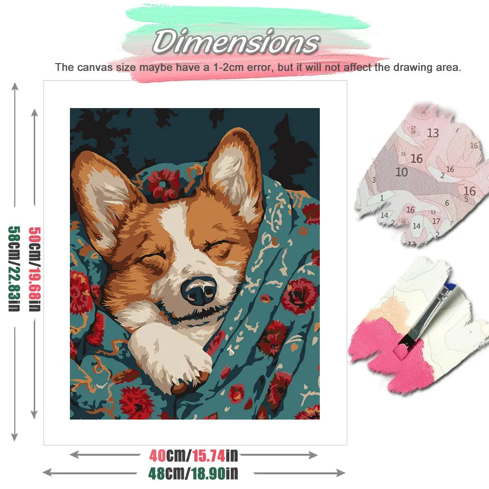 Corgi Nap Paint by Numbers Kit