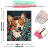Corgi Nap Paint by Numbers Kit