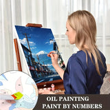 Fuji Street View Paint by Numbers Kit
