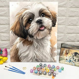 Shih Tzu Portrait Paint by Numbers Kit