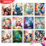 Blossom Peacock Paint by Numbers Kit