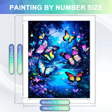 Butterfly Glow Pond Paint by Numbers Kit