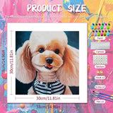Cocoa Poodle Paint by Numbers Kit