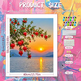 Pomegranate Sunset Paint by Numbers Kit