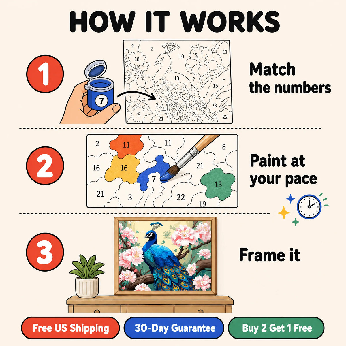 Blossom Peacock Paint by Numbers Kit: how paint by numbers works step by step