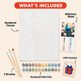 Blossom Peacock Paint by Numbers Kit: everything included in the kit