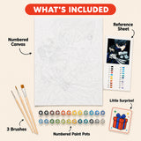Butler Duo Paint by Numbers Kit: everything included in the kit