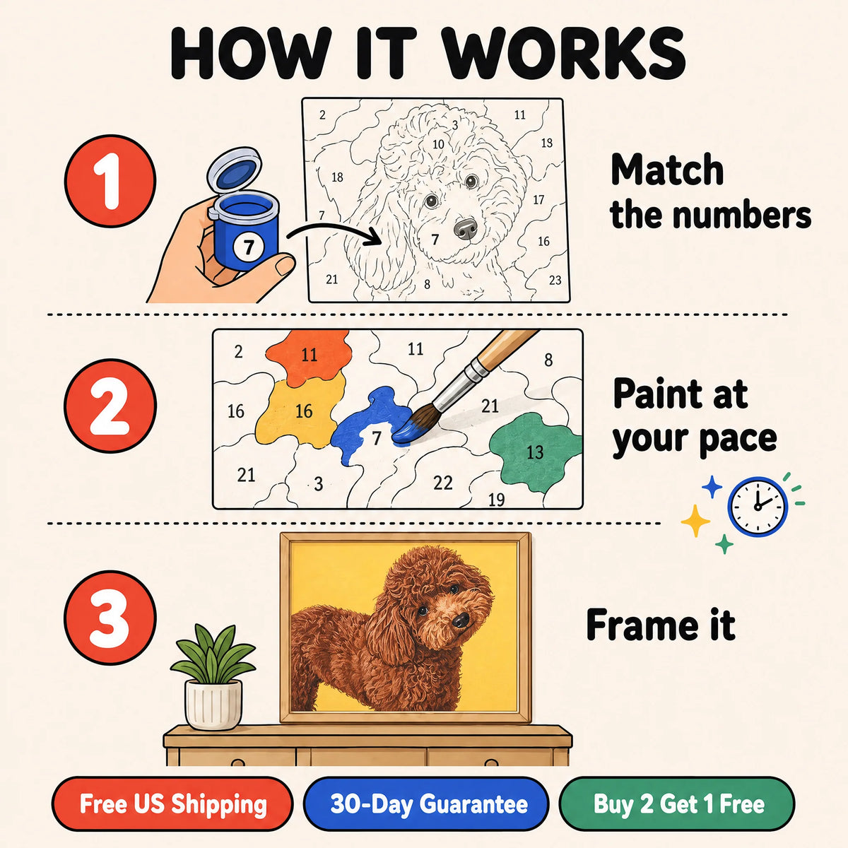 Cocoa Poodle Paint by Numbers Kit: how paint by numbers works step by step