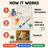 Cozy Basket Cat Paint by Numbers Kit: how paint by numbers works step by step