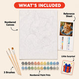 Cozy Basket Cat Paint by Numbers Kit: everything included in the kit