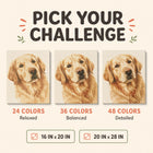 infographic: pick your challenge, 24, 36 or 48 colors, two canvas sizes | Custom Paint by Numbers Canvas