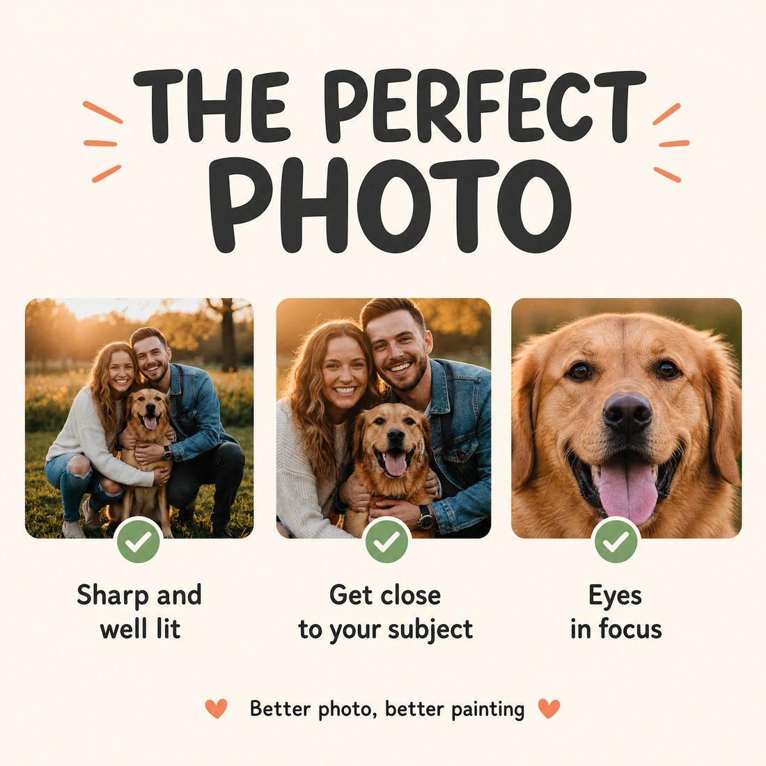 infographic: the perfect photo, sharp, close and eyes in focus | Custom Paint by Numbers Canvas