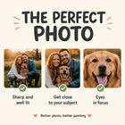 infographic: the perfect photo, sharp, close and eyes in focus | Custom Paint by Numbers Canvas