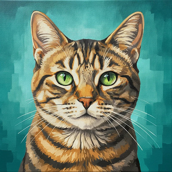 Pets