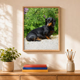 Garden Dachshund Paint by Numbers Kit: finished canvas displayed in a living room