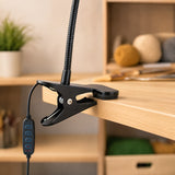 black clamp fixed to a wooden desk edge | LED Lamp with Clamp for Detail Painting