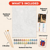 Lily Bride Paint by Numbers Kit: everything included in the kit