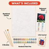 Midnight Rose Paint by Numbers Kit: everything included in the kit