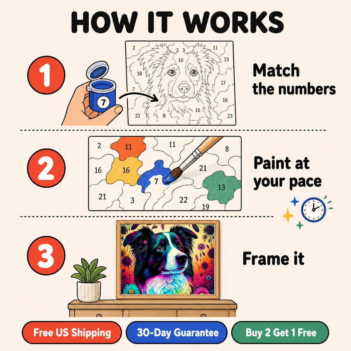 Neon Collie Paint by Numbers Kit: how paint by numbers works step by step
