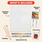 Pomegranate Sunset Paint by Numbers Kit: everything included in the kit