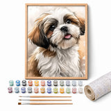 Shih Tzu Portrait Paint by Numbers Kit: complete kit with framed artwork, numbered paint pots and brushes