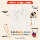 Shih Tzu Portrait Paint by Numbers Kit: everything included in the kit