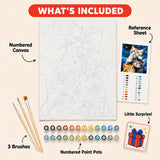 Starry Night Kittens Paint by Numbers Kit: everything included in the kit