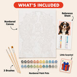 Sweet Cavalier Paint by Numbers Kit: everything included in the kit