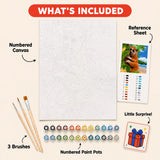 Tropical Loris Paint by Numbers Kit: everything included in the kit